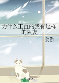 《为什么正直的我有这样的队友》