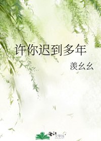 《许你迟到多年》