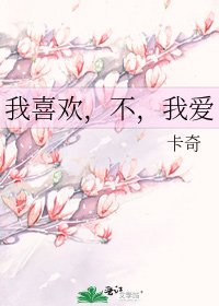 《我喜欢,不,我爱》