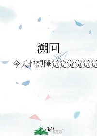 《溯回》
