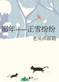 《那年——正雪纷纷》
