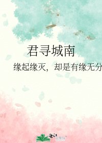 《君寻城南》