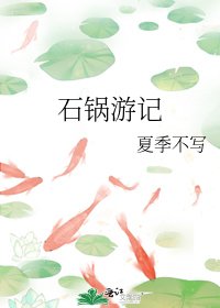 《石锅游记》