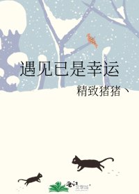 《遇见已是幸运》