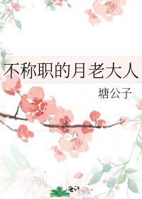 《不称职的月老大人》