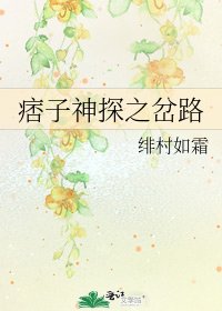 《痞子神探之岔路》