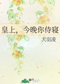 《皇上,今晚你侍寝》