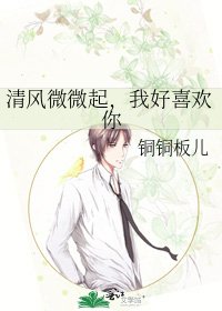 《清风微微起,我好喜欢你》