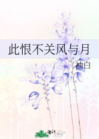 《此恨不关风与月》