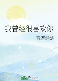 《我曾经很喜欢你》