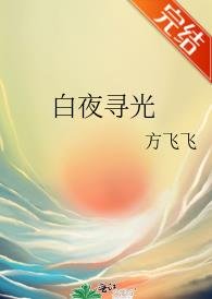 白夜寻光