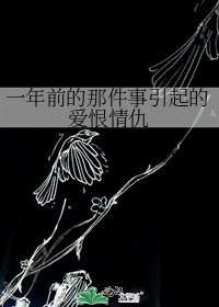 一年前的那件事引起的爱恨情仇