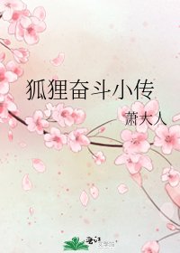 《狐狸奋斗小传》