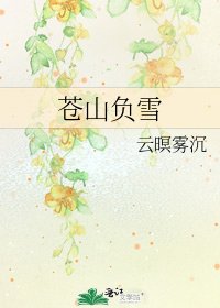 《苍山负雪》