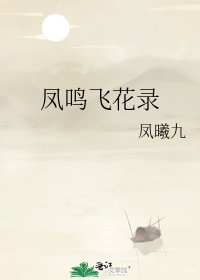 《凤鸣飞花录》