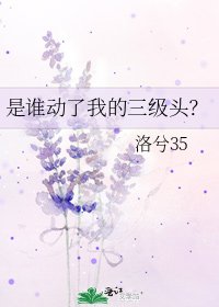 是谁动了我的三级头？