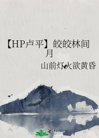 《【HP卢平】皎皎林间月》
