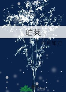 《珀莱》
