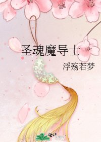 《圣魂魔导士》
