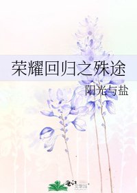 《荣耀回归之殊途》