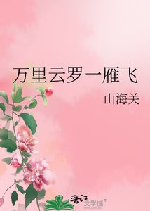 《万里云罗一雁飞》