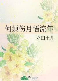 《何须伤月悟流年》
