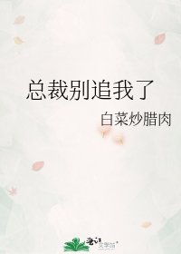 《总裁别追我了》