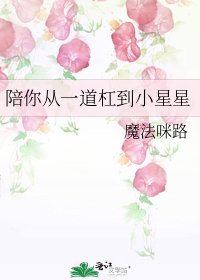 《陪你从一道杠到小星星》