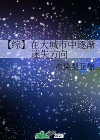 《【综】在大城市中逐渐迷失方向》