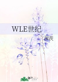 《WLE世纪》
