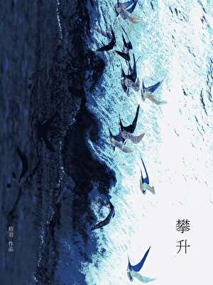 《攀升》