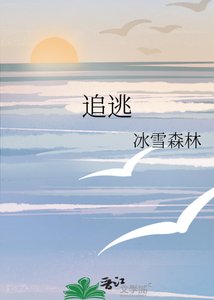 《追逃》