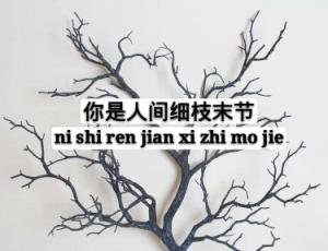 《你是人间细枝末节》