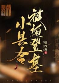 《小县令被迫登基(基建)》