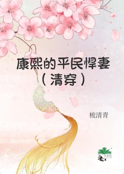 《(历史同人)康熙的平民悍妻(清穿)》