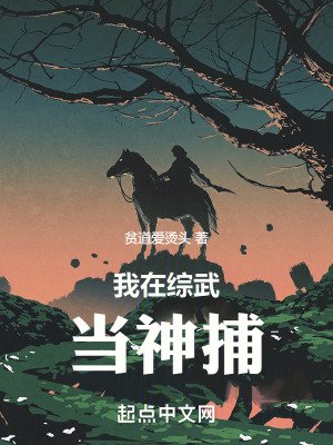 《我在综武当神捕》