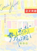 《总裁教我攻略他自己》