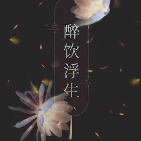 《醉饮浮生》