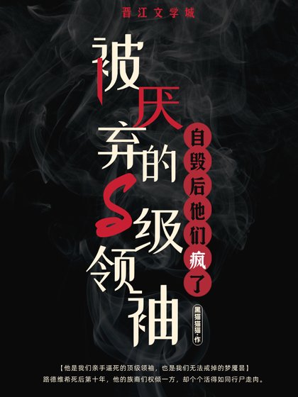 《被厌弃的S级领袖自毁后他们疯了》