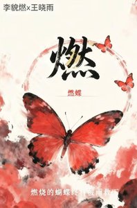 《燃》