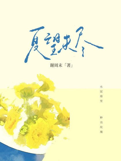 《夏望未尽》