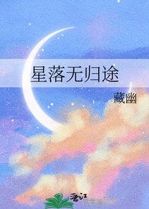 《星落无归途》