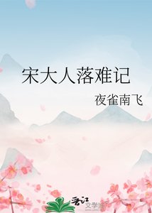 《宋大人落难记》