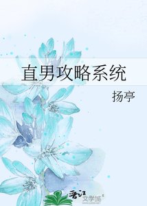 《直男攻略系统》