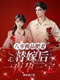 《八零极品肥妻,替嫁后一夜孕三宝/胖娇娇三胎,震惊绝嗣军官全家!》