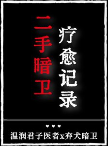 《二手暗卫疗愈记录》