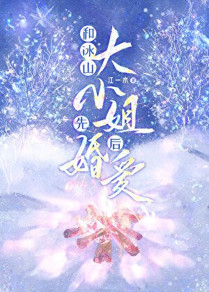 和冰山大小 姐先婚后爱/冬日热恋