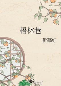 《梧林巷》