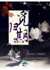 觅归期