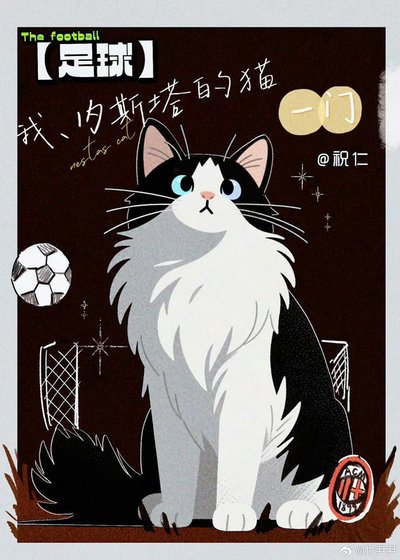 《【足球】我,内斯塔的猫,一门》